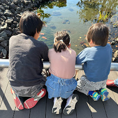 はなととけん⭐️ちゃんねる⭐️