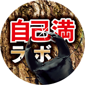 クワガタ自己満ラボ【オオクワガタブリーダー】
