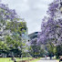 H1ZNLLwQTOs-channel-avatar-Jacaranda Deo