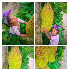 গ্রামের সৌন্দর্য ২০২৫