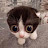 @frogger13-f3s