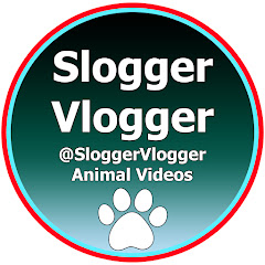 Channel thumbnail for SloggerVlogger