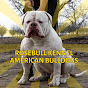 Rosebull Kennel - American Bulldogs logo