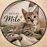 QLnVU3ssY7Y-channel-avatar-Raising Milo the Savannah Cat