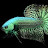@WaterPuppiesGuppies Avatar