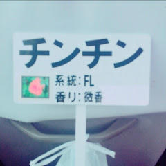 黒カビアイコン画像