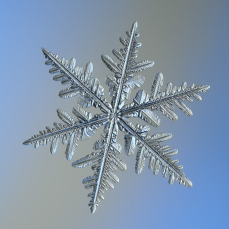 Flocons