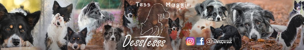 DessTesss YouTube channel avatar
