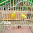 @MuhammadBilal-er9wb