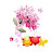 @조약돌-z8p