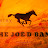 The Joe D Band