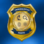 INSTITUTO NACIONAL DE INTELIGÊNCIA PERICIAL INIP logo