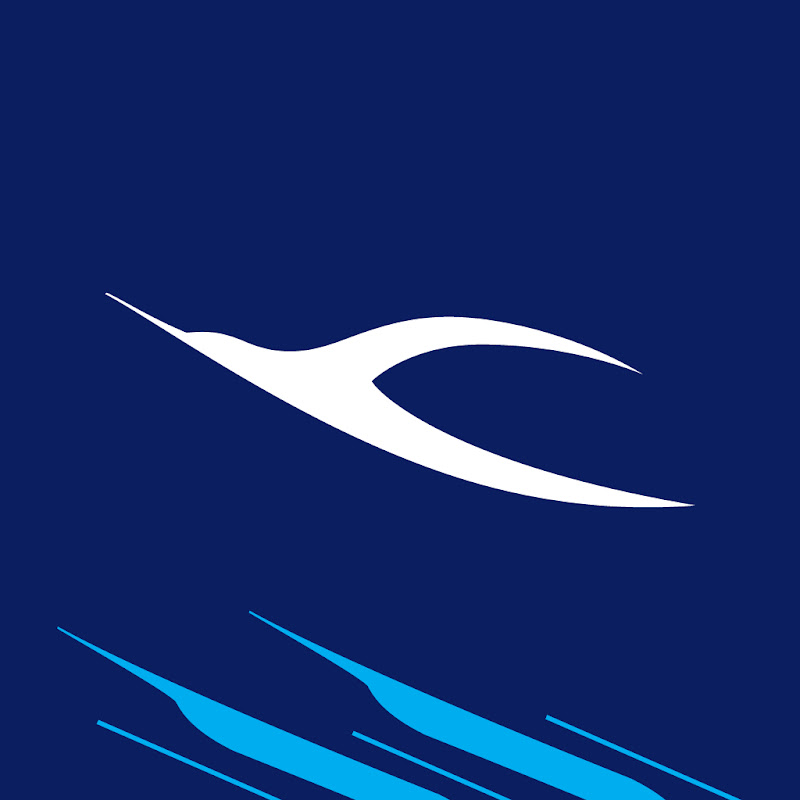 Channel Avatar