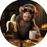 8XItjWzZ2Q0-channel-avatar-MONKEY AND TOYS
