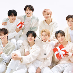 Forever stray kids stay