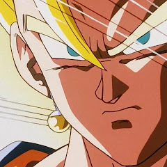  ( Shorts Variados 😎 )