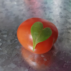 Tomatois40