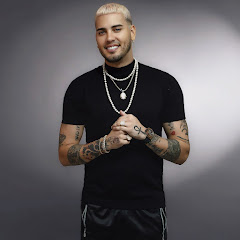 Gustavo Dominguez Official