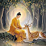 8KXNfWc5_hE-channel-avatar-DailyDhammaShorts