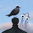 @vinny5915 Avatar
