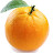 @bitterorange53 Avatar