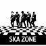 vppRg6KfomM-channel-avatar-SKA ZONE