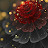 @الاءاحمد-ل7غ