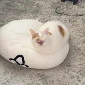 むぎとしいたけ