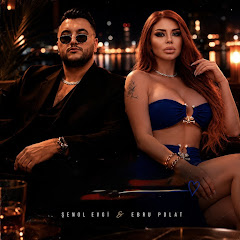 Şenol Evgi Hd - Topic
