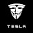 @TeslaX.