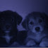 72GA1Usk7_4-channel-avatar-cozy place ♡