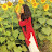 author-img