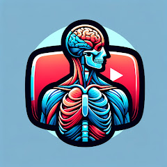 Human Anatomy Education avatar