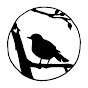 Eine kleine Amsel logo
