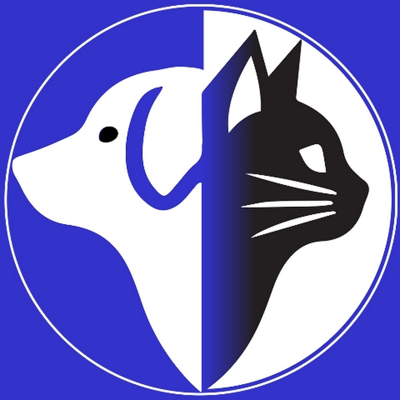 Eira Vesper icon
