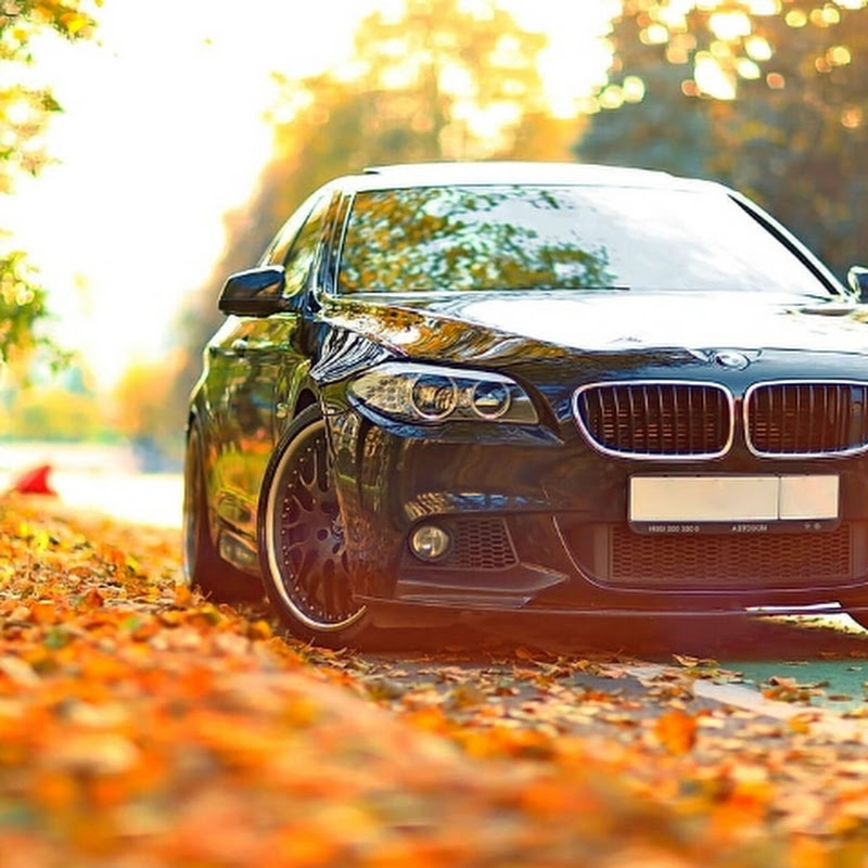 Janu car lovers 46