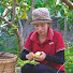 0p_c678cNrU-channel-avatar-Daisy Harvesting