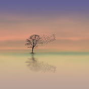 Relaxation Corner