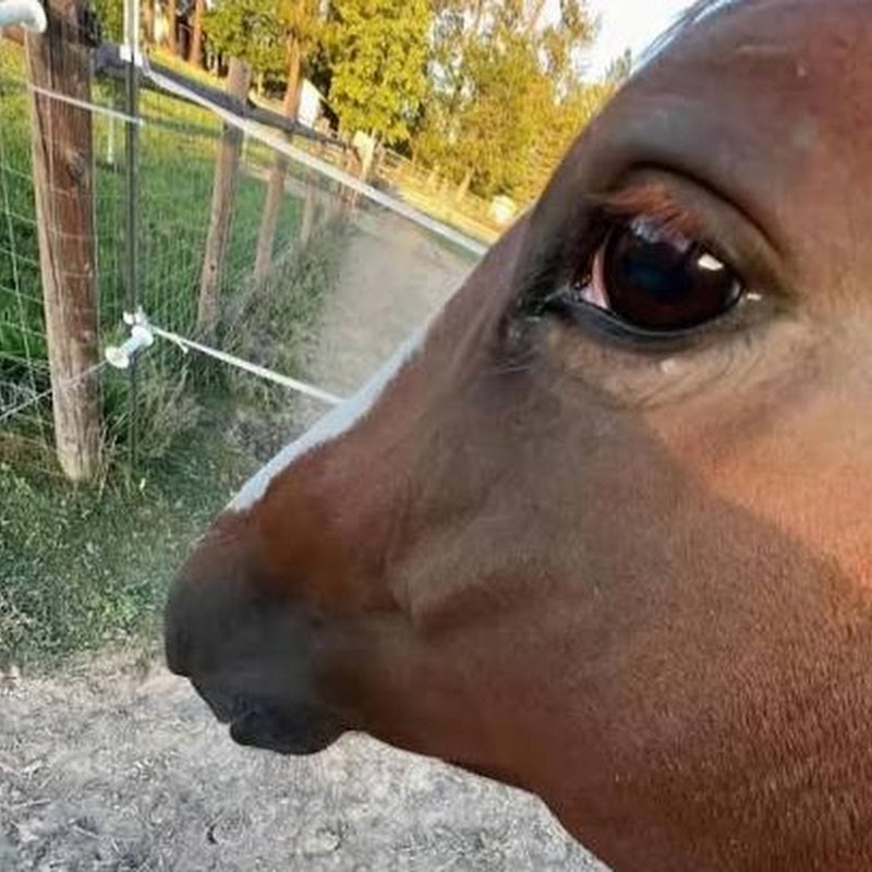 Дмитро Поліщук