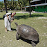 5cmnpn-lJPI-channel-avatar-DailyEscape_stories