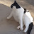 @edwinnetto6248's avatar