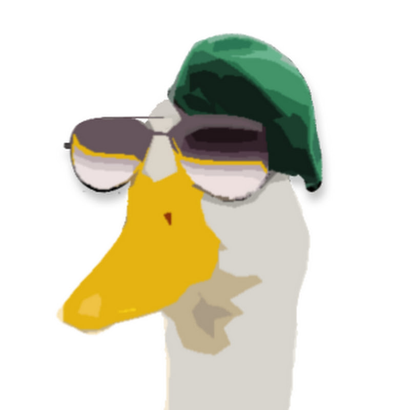 DuckShot84