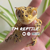 TM Reptile