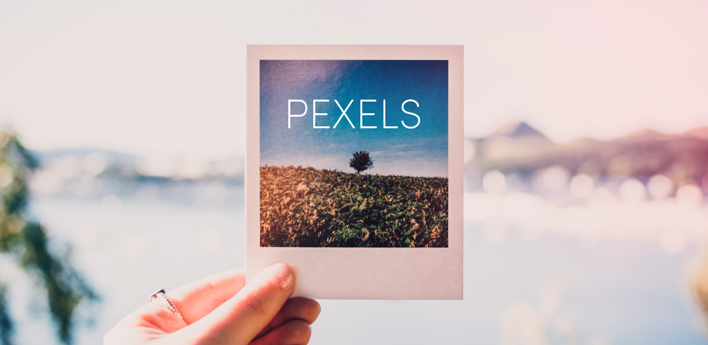 Pexels APK download for Android | Pexels