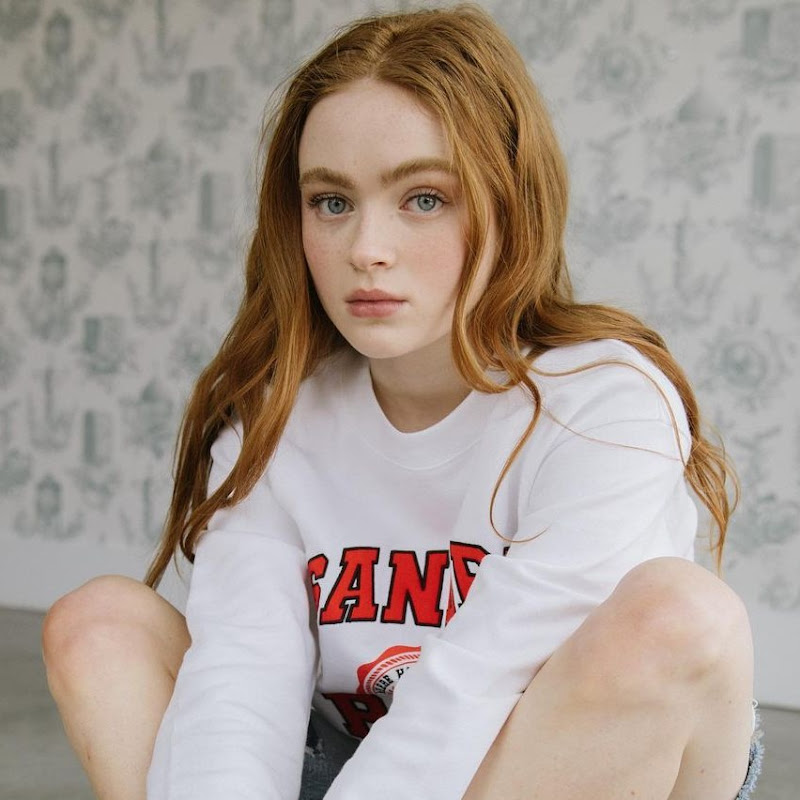 Flavia Sink ༄