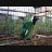 MIT Bird Farm chanel