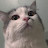 @cats.rule.the.world.