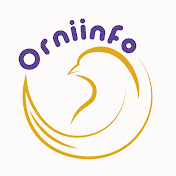 Orniinfo