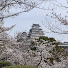 Ef9q91o0oFI-channel-avatar-なんファーム
