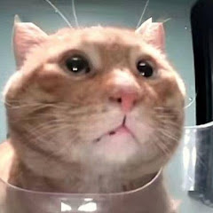 Meme短影片アイコン画像